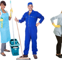 Портфолио Cindy Cook